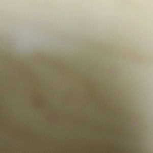 Meet your Posher, Ben